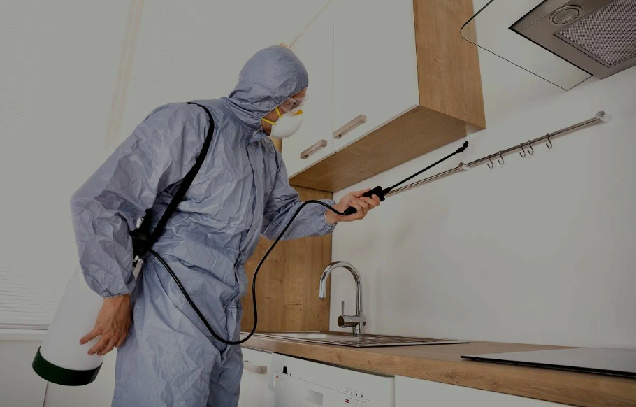 Ridgecrest pest managment